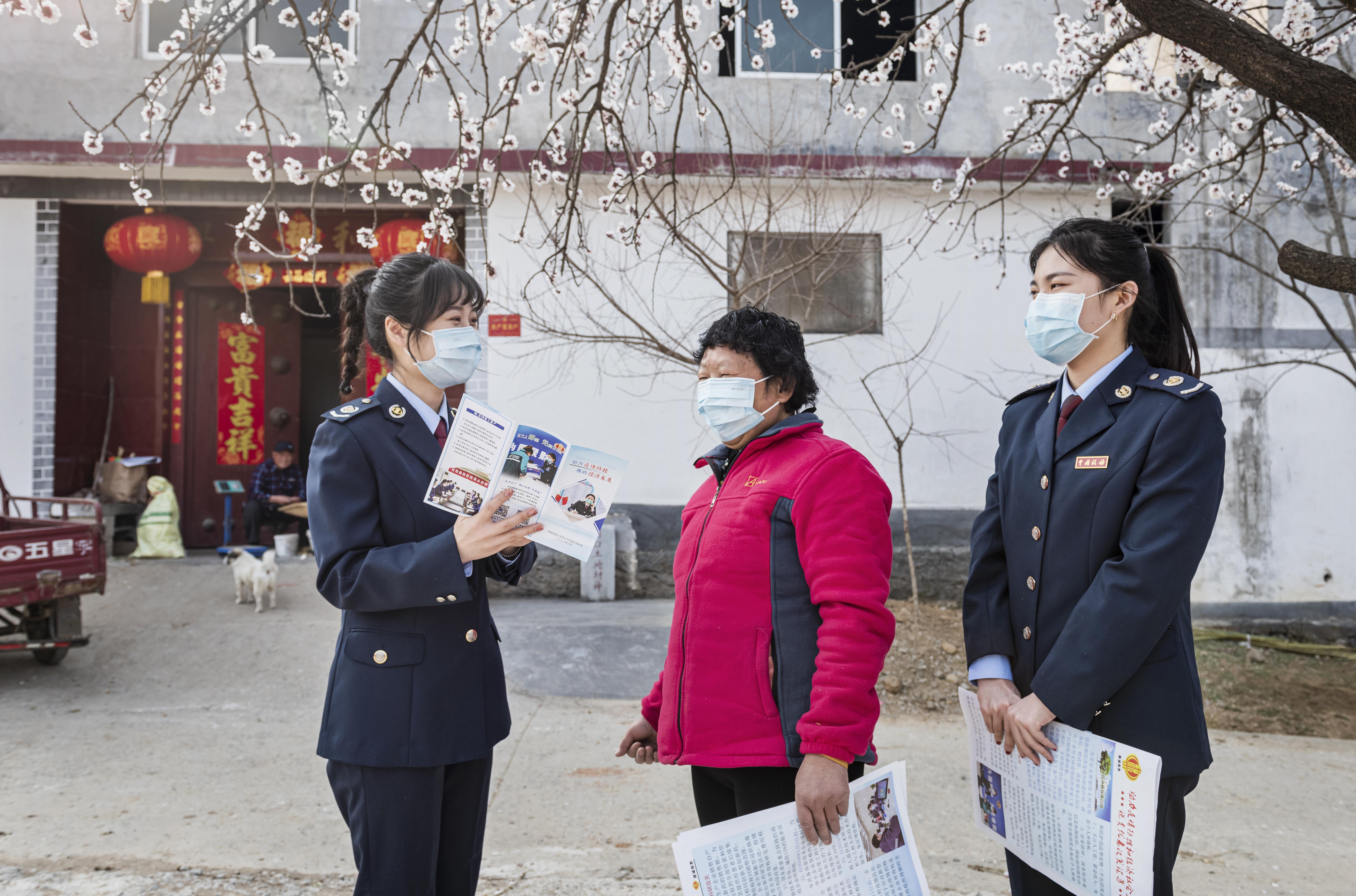 是苦是甜三兄弟,冲锋本领统天下是什么生肖详细解答、解释与落实、深度解答解释落实
