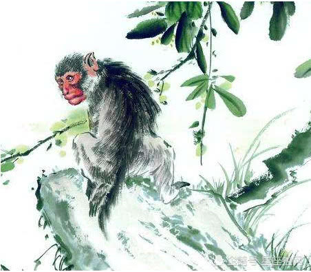 分猴禽起千鈞棒遭插莱萸少一人打一正确生肖请全面2释义、解释与落实、定量解答解释落实